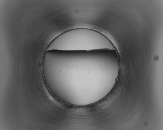X0000102460433200808080948