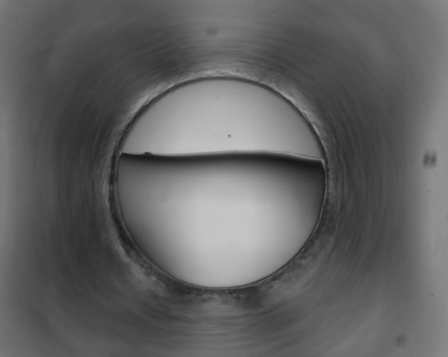 X0000102460434200808080948