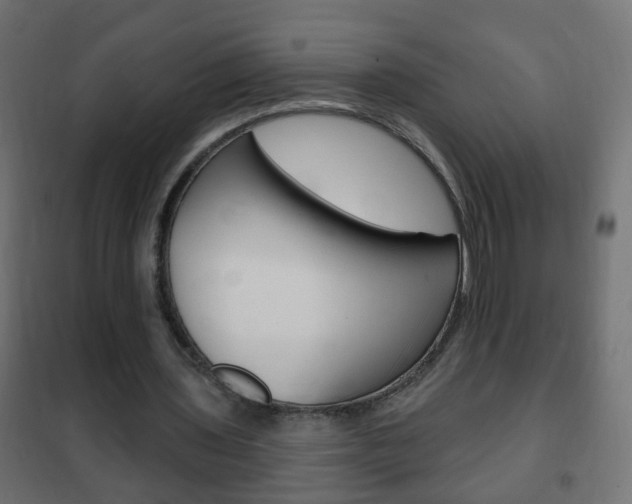 X0000102460435200808080948
