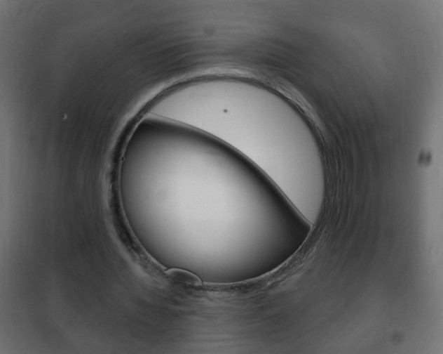 X0000102460436200808080948