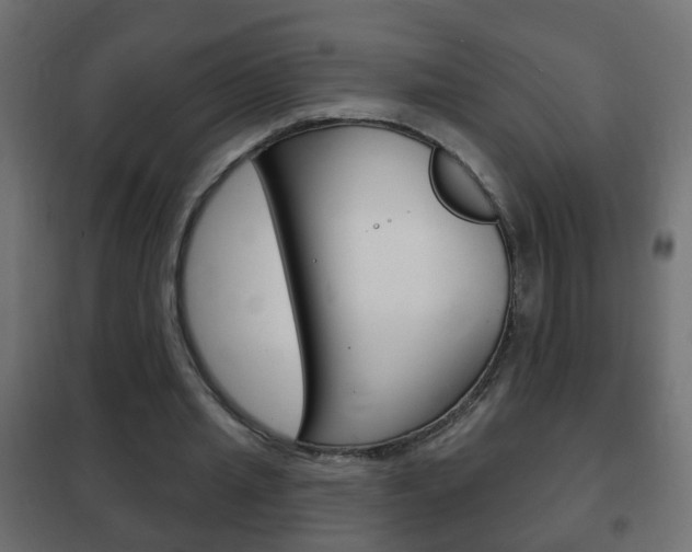 X0000102460437200808080948