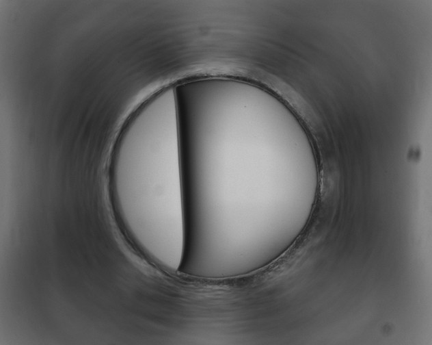 X0000102460438200808080948