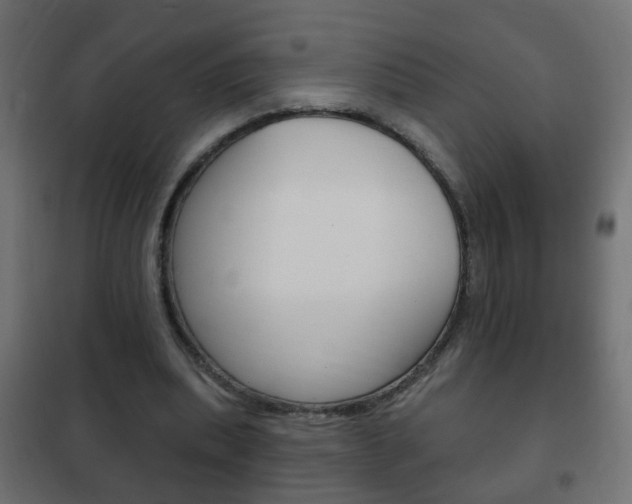 X0000102460439200808080948
