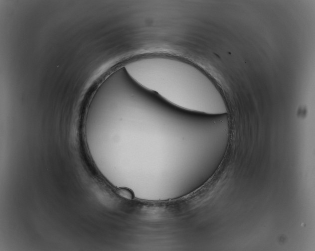 X0000102460440200808080948