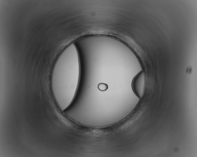 X0000102460441200808080948