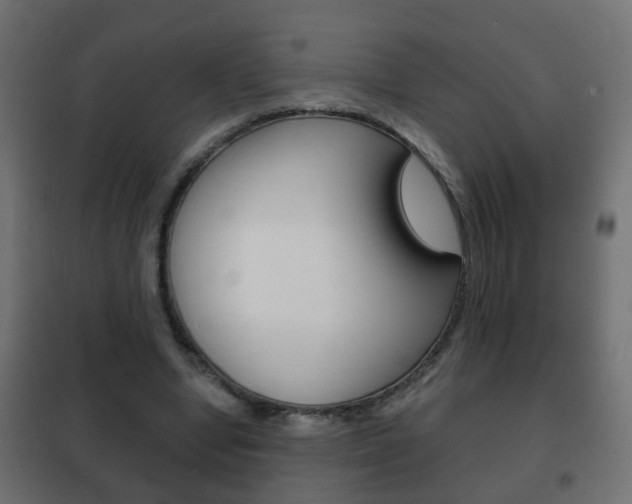 X0000102460442200808080948