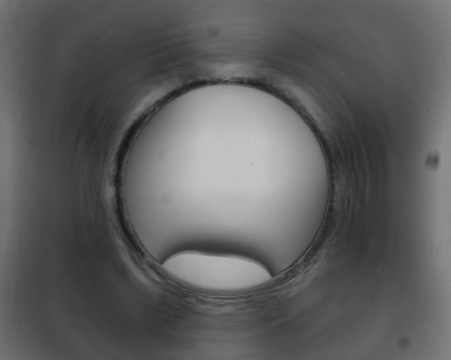 X0000102460443200808080948