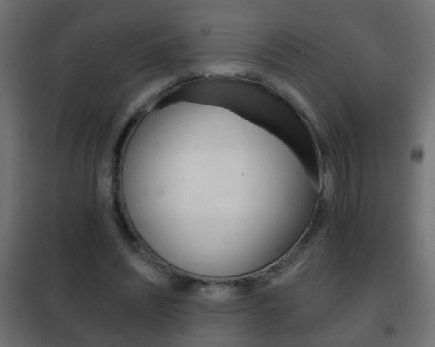X0000102460444200808080948