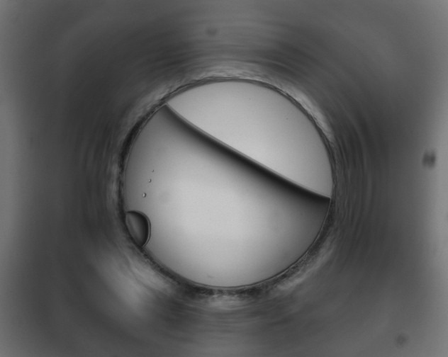 X0000102460445200808080948