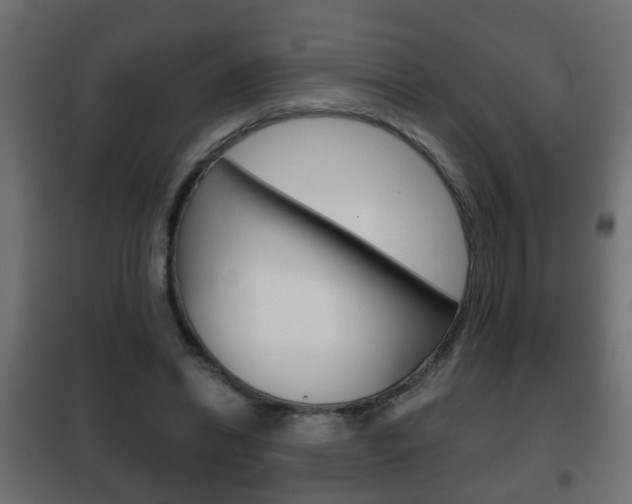 X0000102460446200808080948