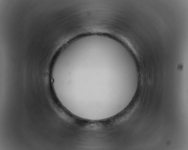 X0000102460447200808080948