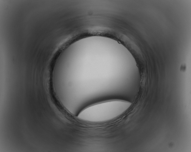 X0000102460448200808080948