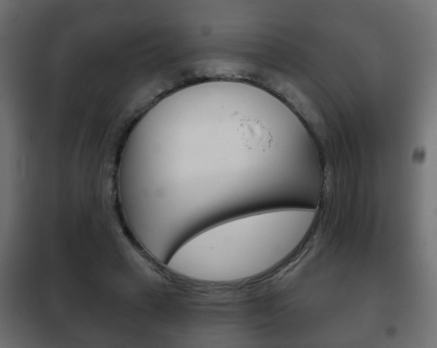 X0000102460449200808080948