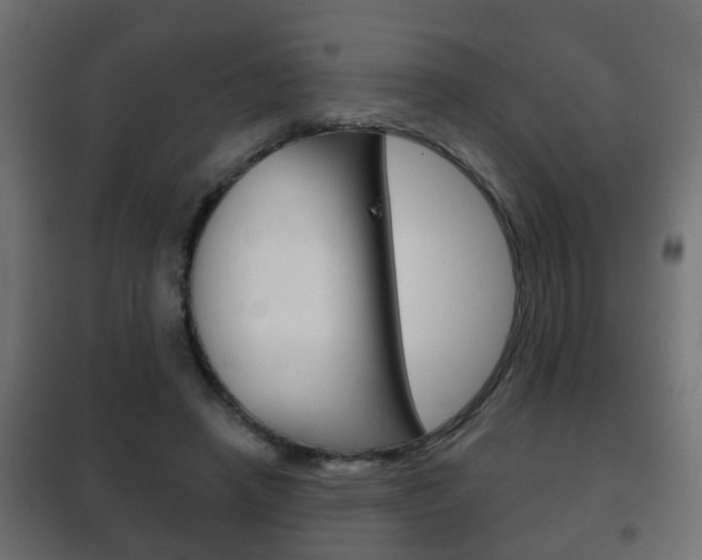 X0000102460450200808080948