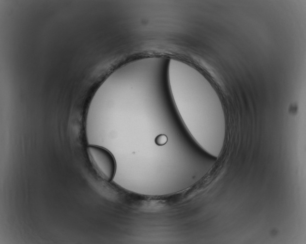 X0000102460451200808080949