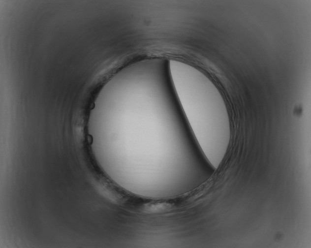 X0000102460452200808080949