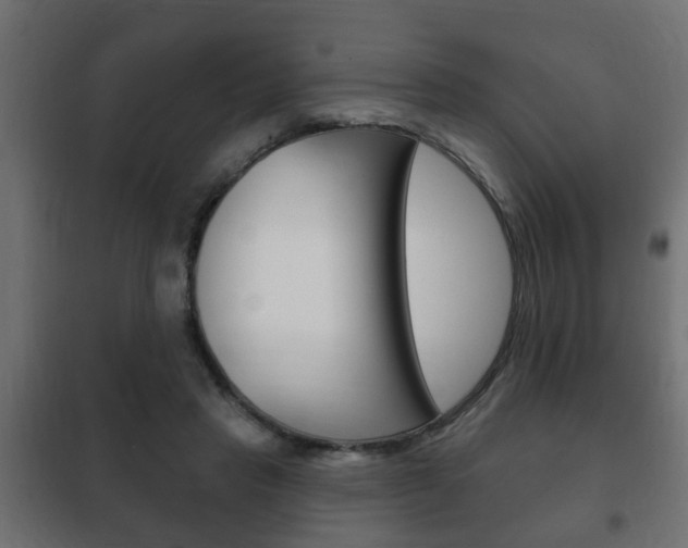X0000102460453200808080949