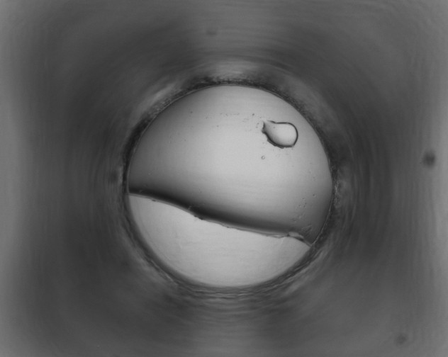 X0000102460454200808080949