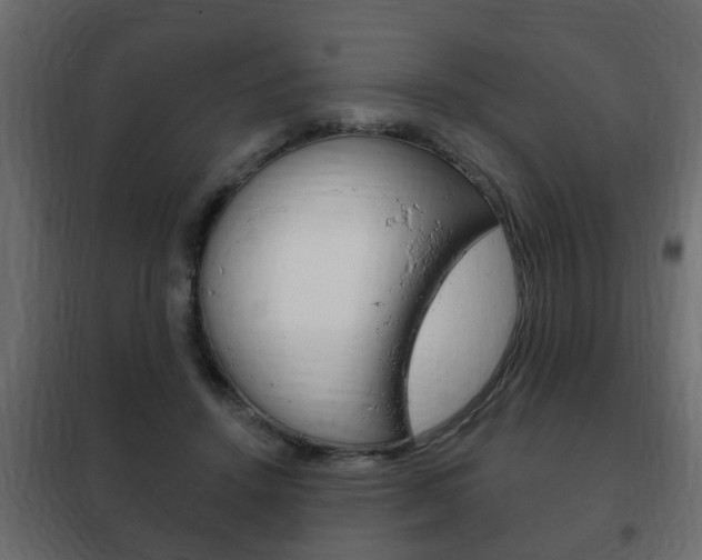 X0000102460456200808080949