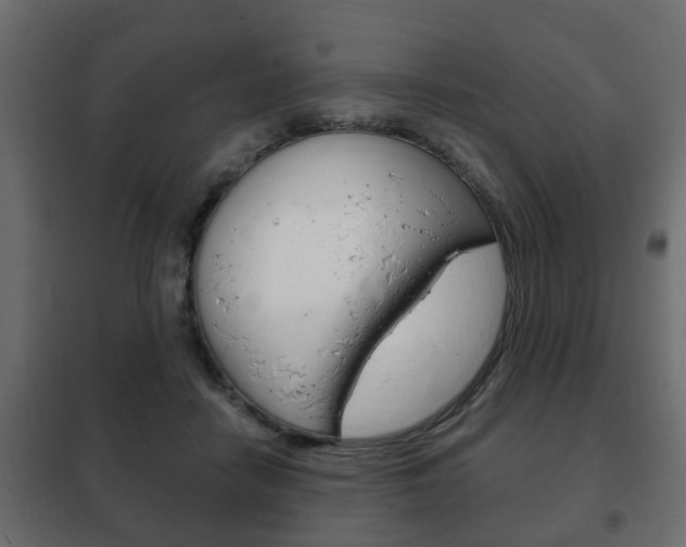 X0000102460458200808080949
