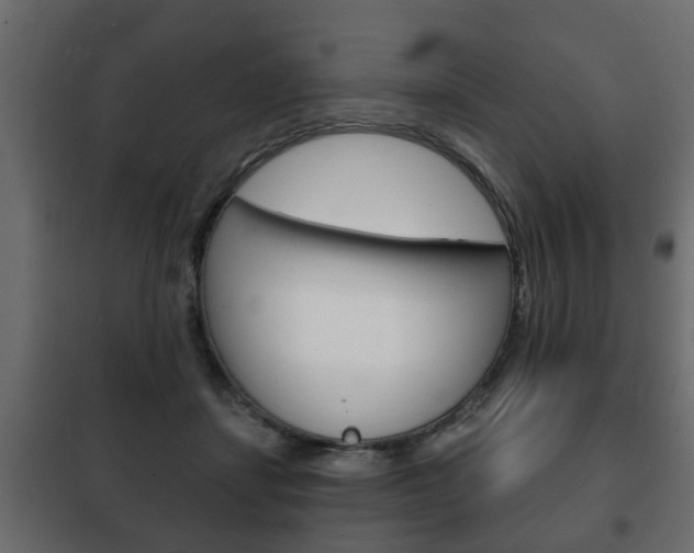 X0000102460459200808080949