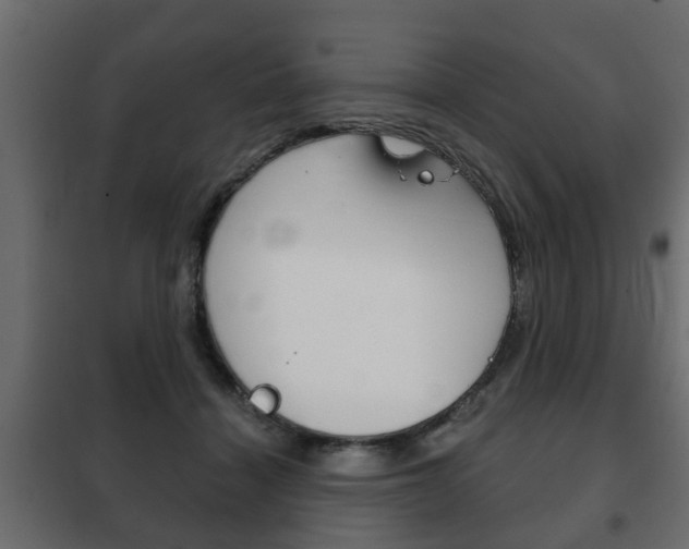 X0000102460460200808080949