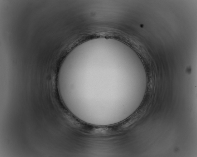 X0000102460461200808080949