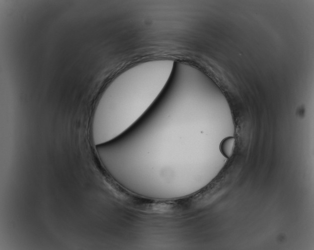 X0000102460462200808080949