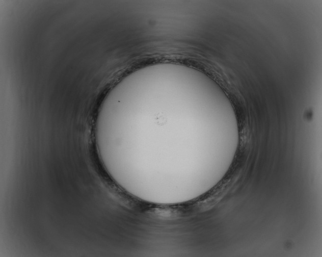 X0000102460464200808080949