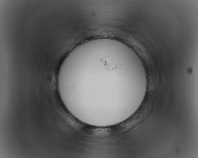 X0000102460465200808080949