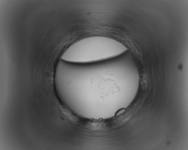 X0000102460466200808080949