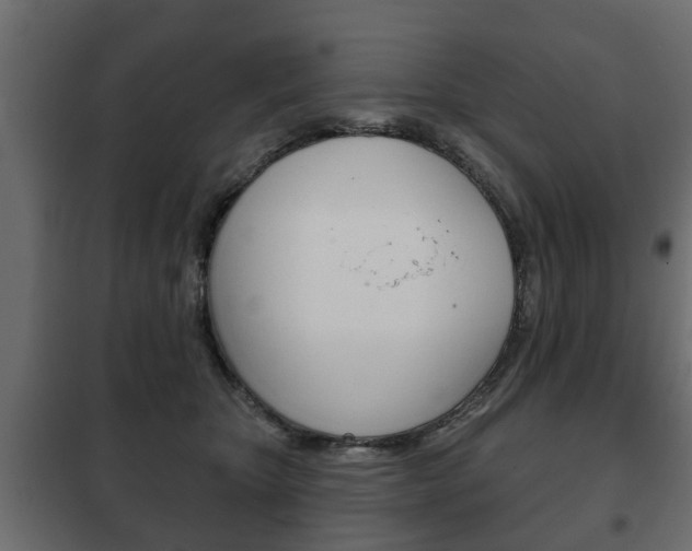 X0000102460467200808080949