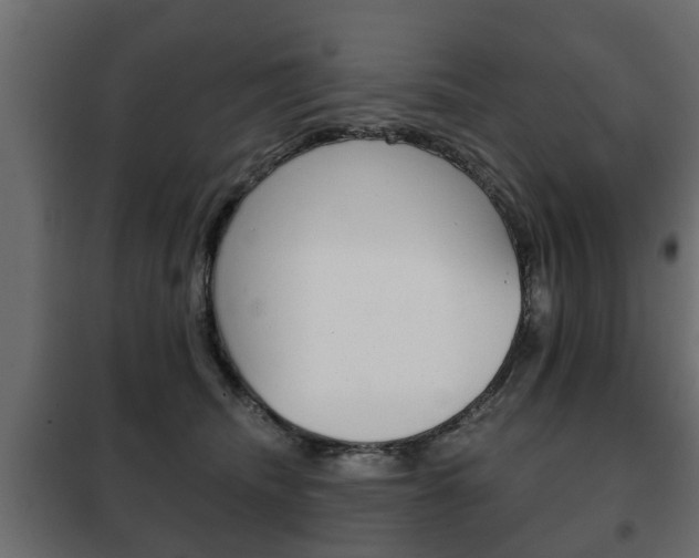 X0000102460468200808080949