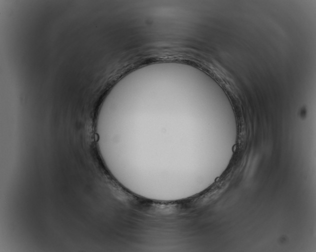 X0000102460469200808080949
