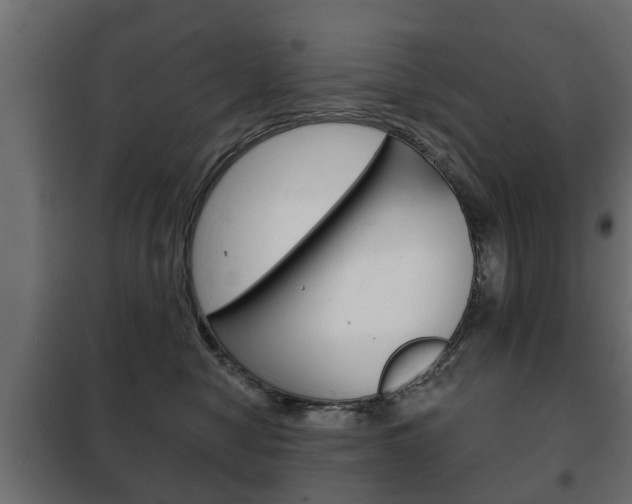 X0000102460470200808080949
