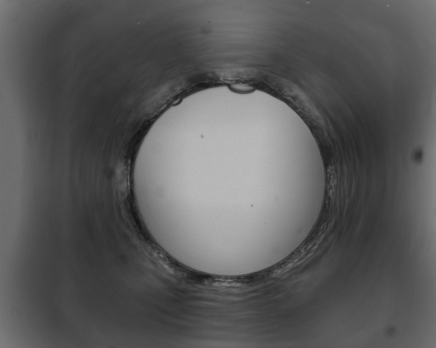 X0000102460471200808080949