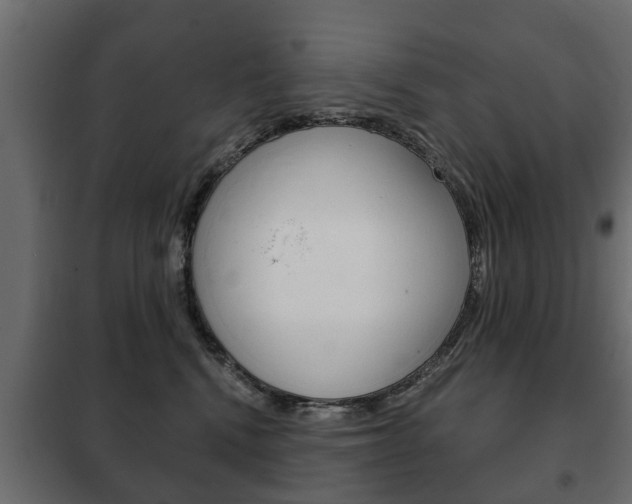 X0000102460472200808080949
