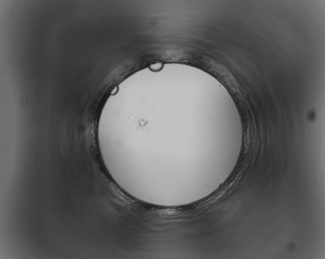 X0000102460473200808080949
