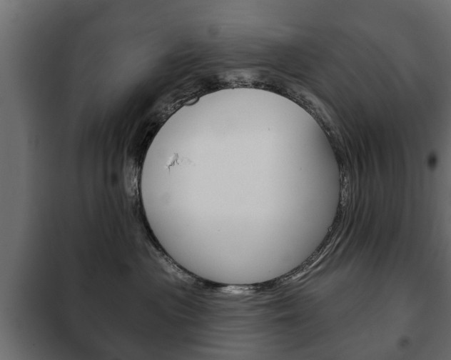 X0000102460477200808080949