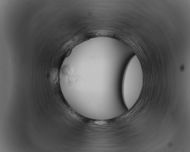 X0000102460478200808080949