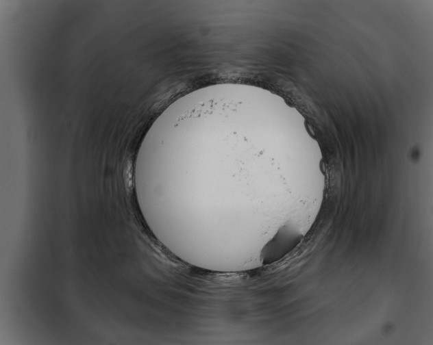X0000102460479200808080949