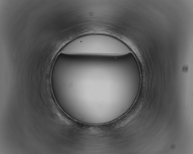 X0000102460481200808080948