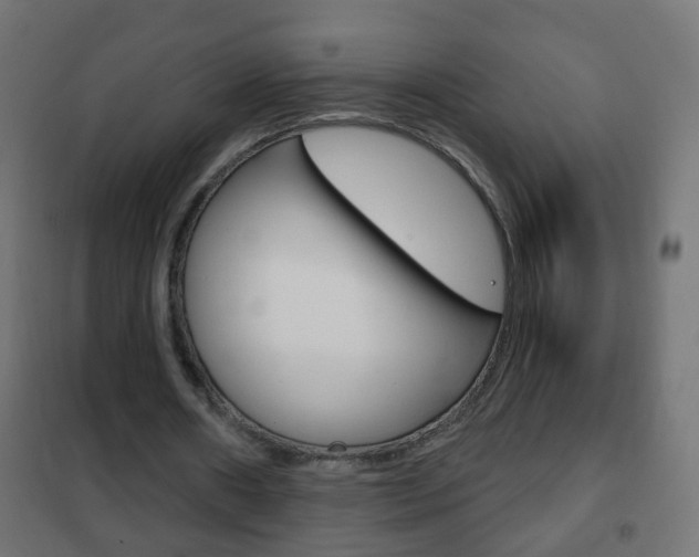 X0000102460482200808080948
