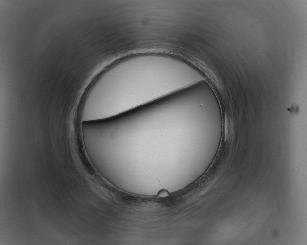 X0000102460483200808080948