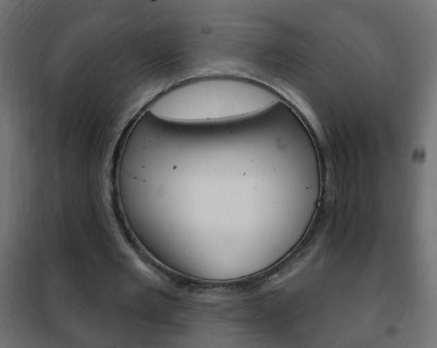 X0000102460485200808080948