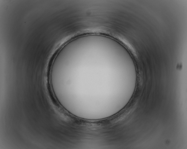 X0000102460486200808080948