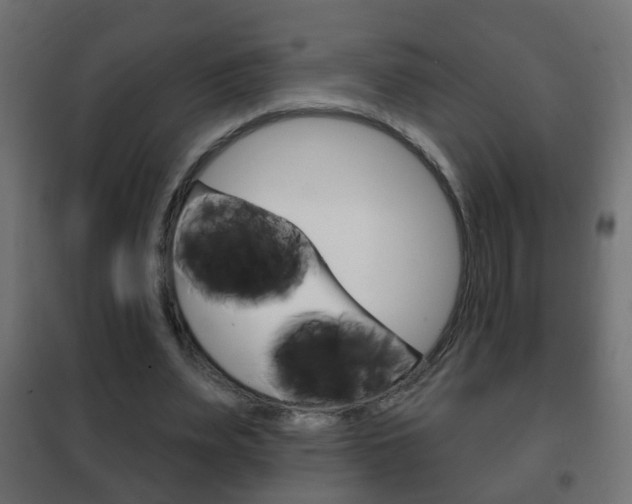 X0000102460487200808080948