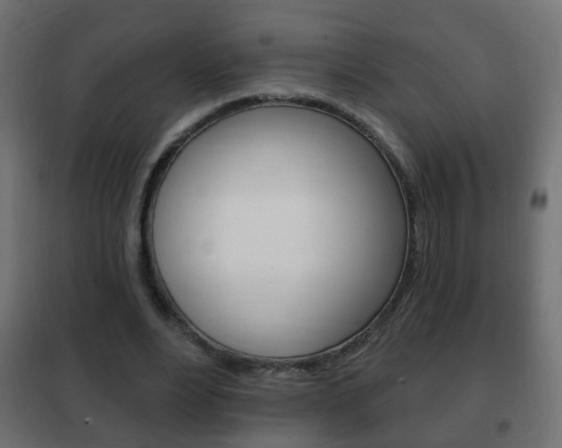 X0000102460488200808080948