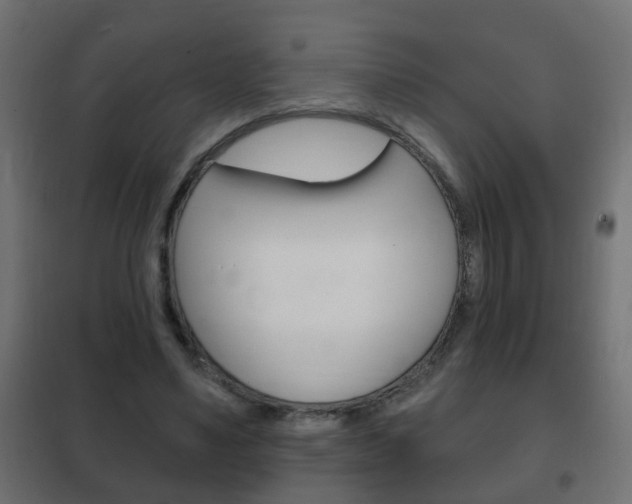 X0000102460491200808080948
