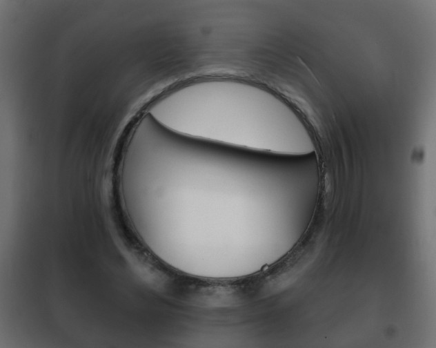 X0000102460492200808080948